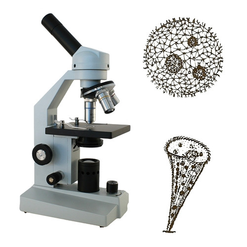 Science Teacher Handbook: Experiments with a Microscope