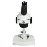 20x Stereo Microscope with Insects