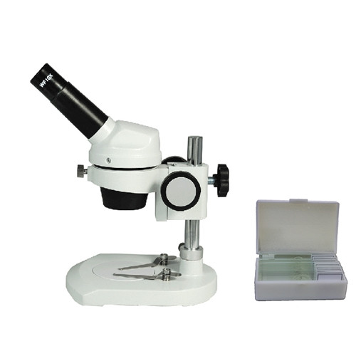 20x Stereo Microscope with Insects