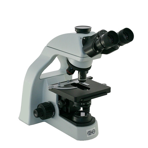 RB20 Trinocular Lab Microscope