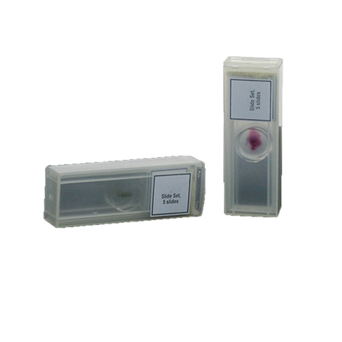 Microscope Slide Kit: Frogs