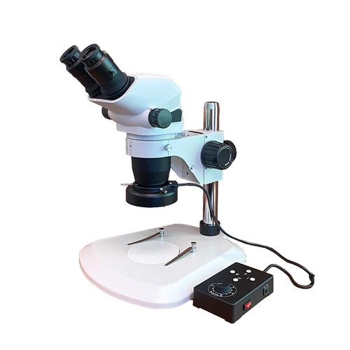 FZ8 Fein Optic High Resolution Stereo Zoom Microscope
