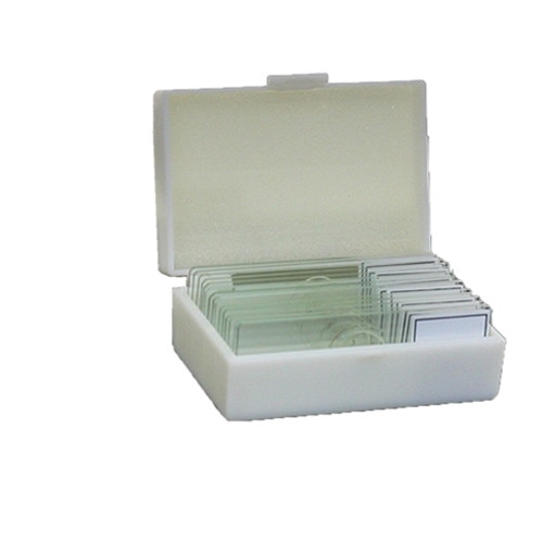 Microscope Slide Kit: Basic Biology 15 Slides