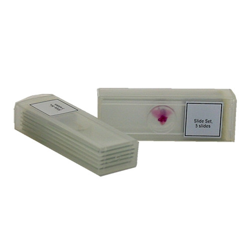 Microscope Slide Kit: Plants