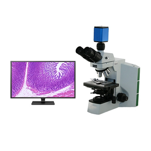 4K Pathology Lab Microscope
