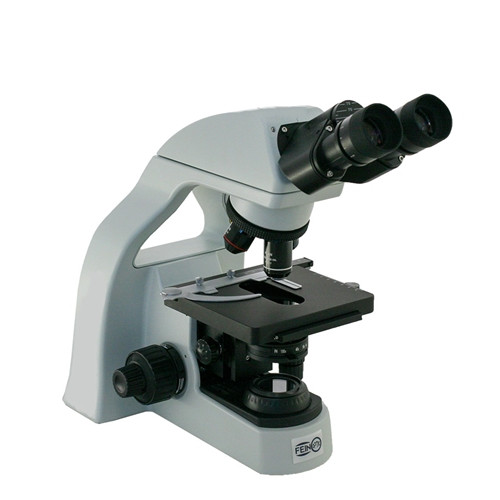 RB20 Lab Microscope 600x