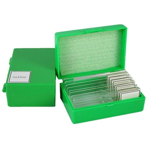 Microscope Slide Kit