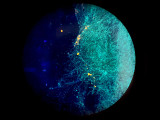 The Role of Microscopy in Environmental Science: Studying Microplastics