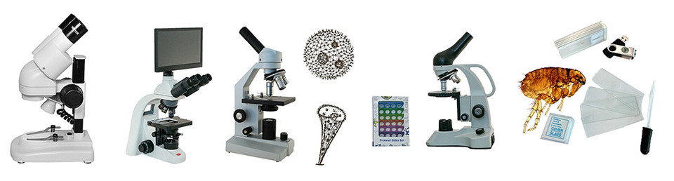 Microscope Holiday Gift Guide