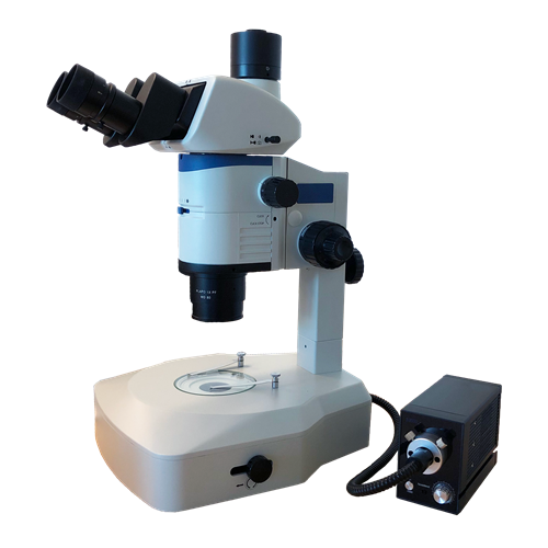FZ12 BF/DF Common Main Objective Stereo Microscope